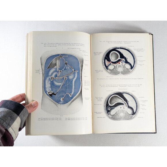 Vintage Grays Anatomy hardcover book 1958, 32nd Centenary Edition, Medical Human - Picture 10 of 10